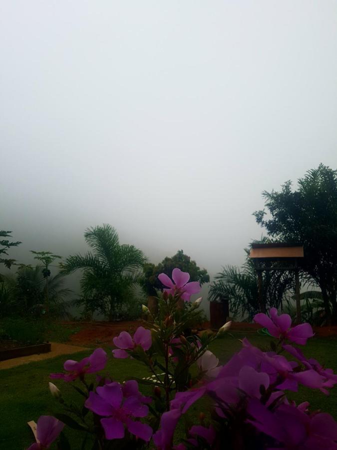 Chale Vista Da Mata Dm, 5Km Centro Domingos Martins, Wi Fi, Fibra Optica, Spa Aquecido, Split, Privacidade, Aceita Pets ภายนอก รูปภาพ